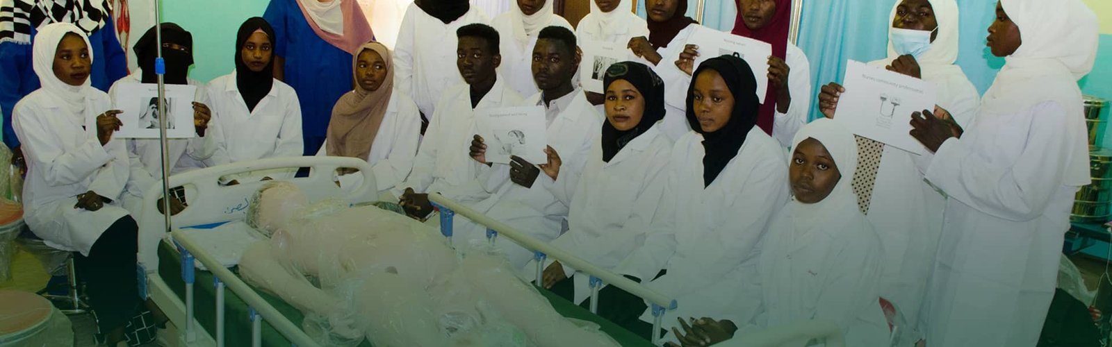Sub-Saharan University College Clinical Learning Environment
